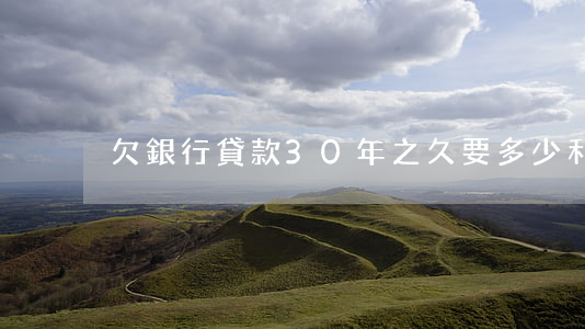 欠銀行貸款30年之久要多少利息