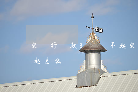 欠銀行貸款3萬還不起(欠銀行貸款3萬還不起怎么辦)