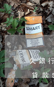 欠銀行貸款50萬還不上怎么處理-欠銀行貸款50萬還不上會是什么后果