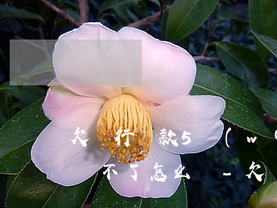 欠銀行貸款5萬(wàn)一時(shí)還不了怎么辦-欠銀行貸款5萬(wàn)一時(shí)還不了怎么辦呢