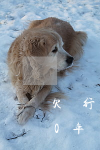 欠銀行貸款5萬(wàn)過(guò)10年沒還能判幾年