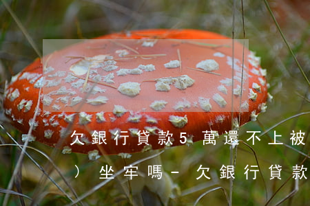 欠銀行貸款5萬還不上被起訴了會(huì)坐牢嗎-欠銀行貸款5萬還不上被起訴了會(huì)坐牢嗎