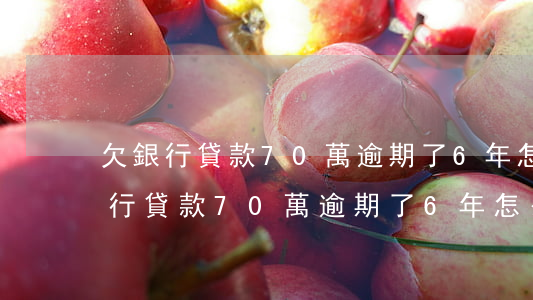 欠銀行貸款70萬逾期了6年怎么辦-欠銀行貸款70萬逾期了6年怎么辦理