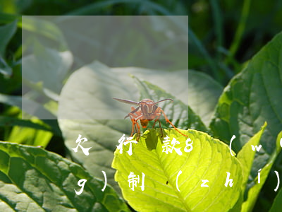 欠銀行貸款8萬(wàn)被強(qiáng)制執(zhí)行怎么辦-欠銀行貸款8萬(wàn)被強(qiáng)制執(zhí)行怎么辦呢