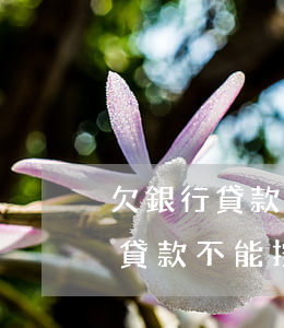 欠銀行貸款不能按時還會被拘留嗎-欠銀行貸款不能按時還會被拘留嗎怎么辦