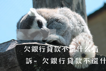 欠銀行貸款不還什么情況下會(huì)起訴-欠銀行貸款不還什么情況下會(huì)起訴對(duì)方