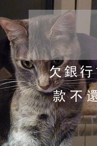 欠銀行貸款不還會(huì)怎樣 欠銀行貸款不還后果