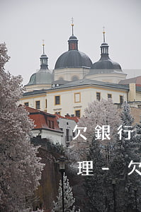 欠銀行貸款信用卡網(wǎng)貸怎么處理-欠銀行貸款信用卡網(wǎng)貸怎么處理好