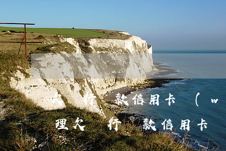 欠銀行貸款信用卡網(wǎng)貸怎么處理(欠銀行貸款信用卡網(wǎng)貸怎么處理)