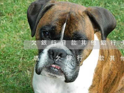 欠銀行貸款其他銀行卡會被凍結(jié)嗎-欠銀行貸款其他銀行卡會被凍結(jié)嗎怎么辦