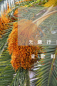 欠銀行貸款到期未還我還的少行嗎-欠銀行貸款到期還不上會(huì)有啥后果