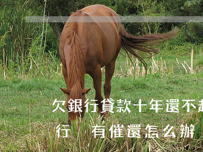欠銀行貸款十年還不起怎么辦(欠貸款十年銀行沒有催還怎么辦)