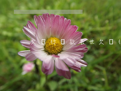 欠銀行貸款去世(欠銀行貸款20萬判幾年)