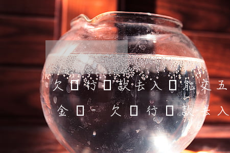 欠銀行貸款去入職能交五險(xiǎn)一金嗎-欠銀行貸款去入職能交五險(xiǎn)一金嗎有影響嗎