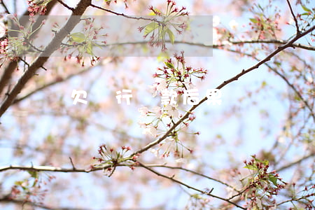 欠銀行貸款后果