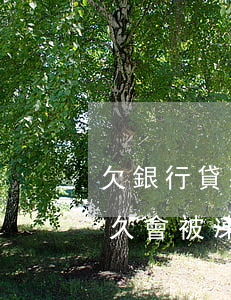 欠銀行貸款和信用卡(欠銀行貸款和信用卡多久會被凍結(jié)微信錢包)
