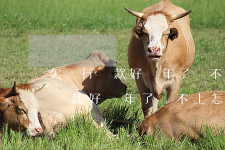 欠銀行貸款好幾年了還不上怎么辦-欠銀行貸款好幾年了還不上怎么辦呢