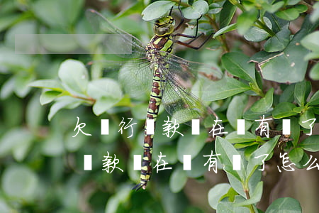 欠銀行貸款實在沒有錢了怎么樣辦-欠銀行貸款實在沒有錢了怎么樣辦理