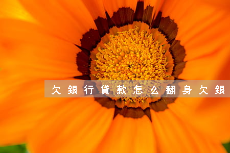欠銀行貸款怎么翻身(欠銀行貸款怎么翻身)