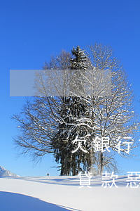 欠銀行貸款惡意轉移財產是什么罪-欠銀行貸款惡意轉移財產是什么罪名