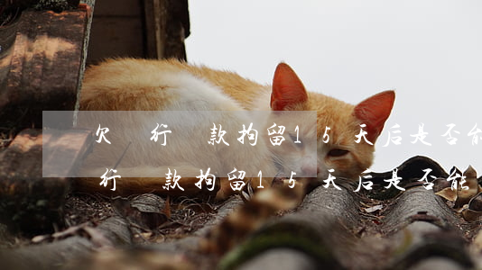 欠銀行貸款拘留15天后是否能釋放-欠銀行貸款拘留15天后是否能釋放出來(lái)