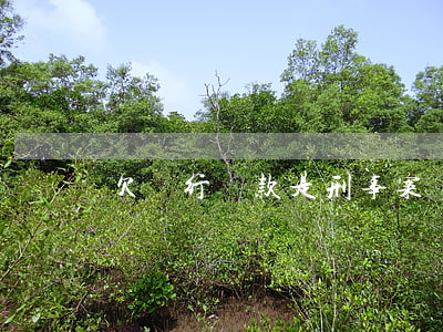 欠銀行貸款是刑事案嗎(欠銀行貸款是刑事案嗎)