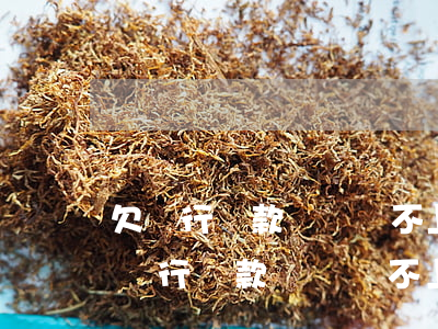 欠銀行貸款暫時還不上被起訴了怎么辦-欠銀行貸款暫時還不上被起訴了怎么辦呢