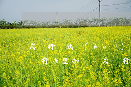 欠銀行貸款會(huì)不會(huì)從銀行卡里扣錢-欠銀行貸款會(huì)不會(huì)從銀行卡里扣錢呢