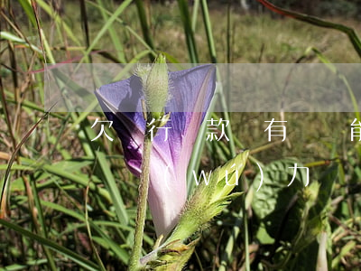 欠銀行貸款沒有償還能力了怎么辦（欠銀行信貸無(wú)力償還）