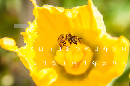 欠銀行貸款法院調解后利息可減少嗎-欠銀行貸款法院調解后利息可減少嗎