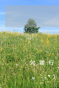 欠銀行貸款法院開(kāi)庭審判會(huì)怎么樣-欠銀行貸款法院開(kāi)庭審判會(huì)怎么樣呢