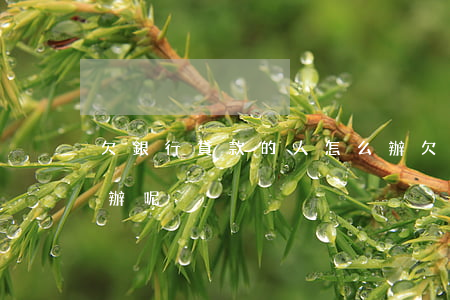 欠銀行貸款的人怎么辦 欠銀行貸款的人怎么辦呢