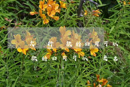 欠銀行貸款的公司可以變更名稱嗎（欠銀行貸款的公司可以變更名稱嗎）