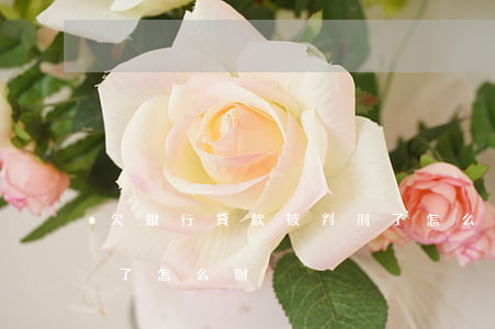 欠銀行貸款被判刑了怎么辦(欠銀行貸款坐牢了怎么辦)