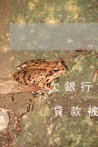 欠銀行貸款被幾個銀行起訴怎么辦-欠銀行貸款被幾個銀行起訴怎么辦理