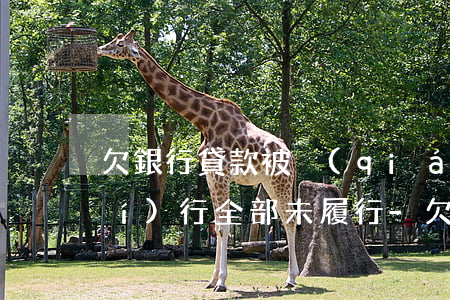 欠銀行貸款被強(qiáng)制執(zhí)行全部未履行-欠銀行貸款被強(qiáng)制執(zhí)行全部未履行怎么辦