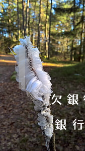 欠銀行貸款被法院凍結銀行卡無法生活-欠銀行貸款賬戶被法院凍結了下一步會怎樣