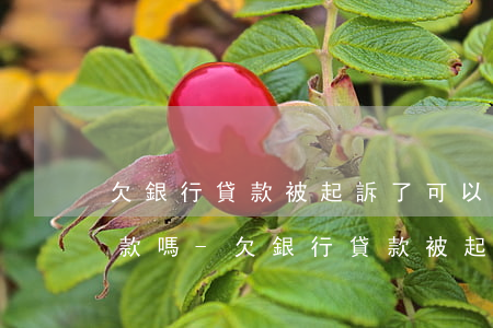 欠銀行貸款被起訴了可以協(xié)商還款嗎-欠銀行貸款被起訴了可以協(xié)商還款嗎
