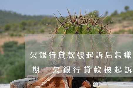 欠銀行貸款被起訴后怎樣協(xié)商分期-欠銀行貸款被起訴后怎樣協(xié)商分期還款
