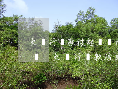 欠銀行貸款被起訴還清了會(huì)撤訴嗎-欠銀行貸款被起訴還清了會(huì)撤訴嗎知乎