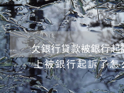 欠銀行貸款被銀行起訴怎么辦(銀行貸款還不上,被銀行起訴了,怎么辦)