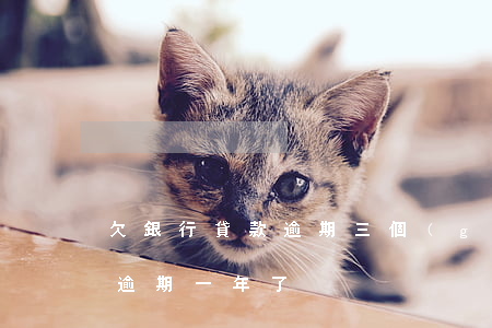 欠銀行貸款逾期三個(gè)月(欠銀行貸款逾期一年了)