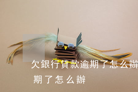 欠銀行貸款逾期了怎么辦(銀行貸款不小心逾期了怎么辦)