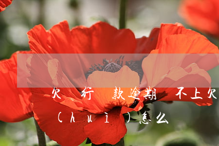 欠銀行貸款逾期還不上(欠銀行款逾期沒還會(huì)怎么樣)