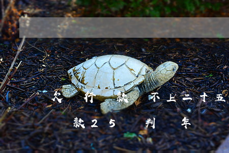 欠銀行貸款還不上二十五萬判幾年-欠銀行貸款25萬判幾年