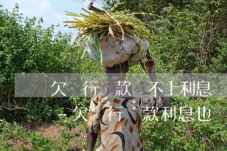 欠銀行貸款還不上利息還繼續(xù)加嗎-欠銀行貸款利息也還不起,怎么辦