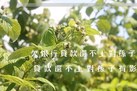 欠銀行貸款還不上對孫子有影響嗎-欠銀行貸款還不上對孫子有影響嗎知乎