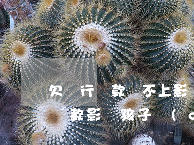 欠銀行貸款還不上影響子女參軍嗎-欠銀行貸款影響孩子當(dāng)兵么
