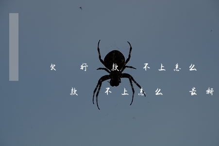 欠銀行貸款還不上怎么辦最新政策-欠銀行貸款還不上怎么辦最新政策呢