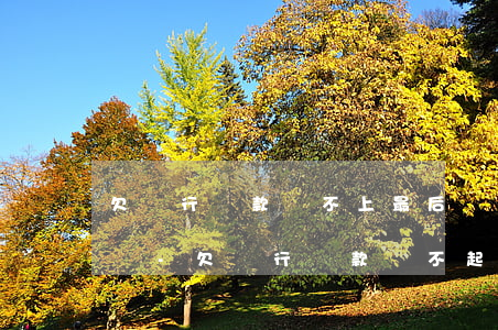 欠銀行貸款還不上最后結(jié)局是怎樣-欠銀行貸款還不起 最后怎么辦